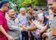 Ribuan Warga Sambut Kedatangan Bupati dan Wabup Banggai Terpilih Amirudin-Furqanuddin di Kantor Bupati Banggai