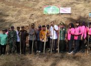 Kapolres Touna bersama Satakeholder dan Forkopimda Tanam Jagung Serentak Kuartal III