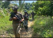 Tim Alfa 1 Brimob Polda Sulteng Intensif Patroli di Hutan Pegunungan Poso