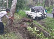 Diduga Berkendara Kondisi Mabuk Sopir Seruduk Pohon Kelapa