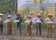 Perkuat Sektor Pertanian Dinas TPHP Banggai Gelar Gerakan Tanam Jagung