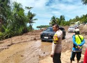 Jalur Trans Sulawesi Touna Kembali Normal Usai Longsor Menerjang 