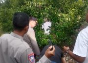 Seorang Kakek Ditemukan Warga Gantung Diri di Salah Satu Pohon Pala