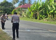 Akibat Kecelakaan Lalulintas di Trans Sulawesi Touna, Satu Orang Meninggal Dunia